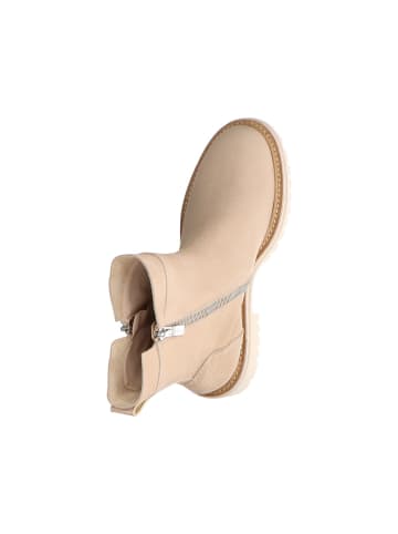 Paul Green Stiefeletten für Damen in beige
