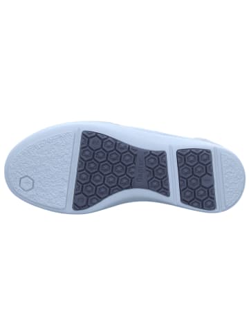 Ganter Schnürschuhe Karl Ludwig in taupe/multi