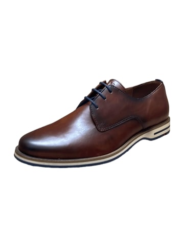 LLOYD Elegante Schnürschuhe in Braun