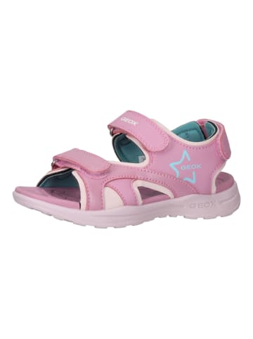 Geox Sandalen in Pink