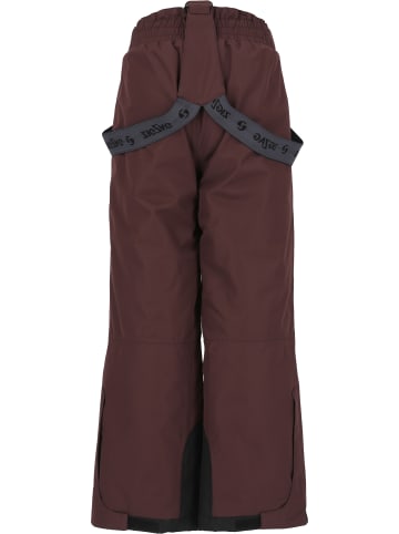 Zigzag Skihose Provo in 4241 Fudge