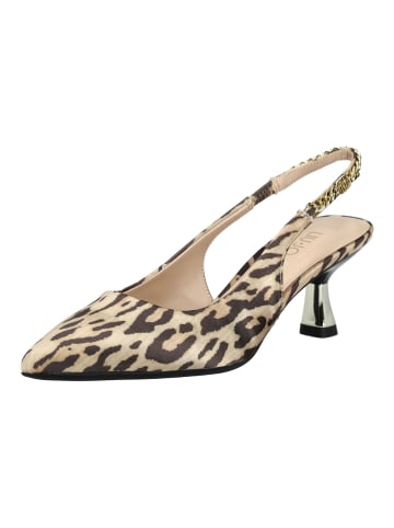 Liu Jo Pumps in Leopard