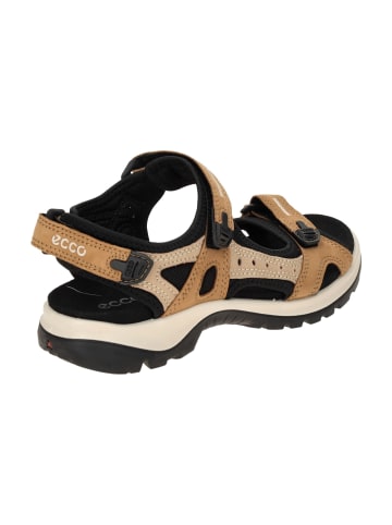 Ecco Trekkingsandalen in Braun