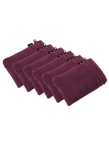 Vossen 6er Pack Waschhandschuh in grape