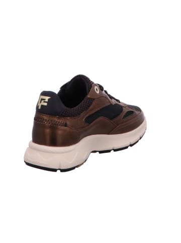 Floris van Bommel Schnürschuh in braun