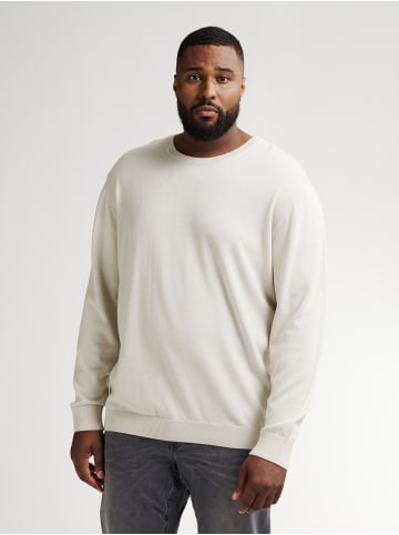 Petrol Industries Plus Size Pullover mit Rundhalsausschnitt Rhinelander in Weiß