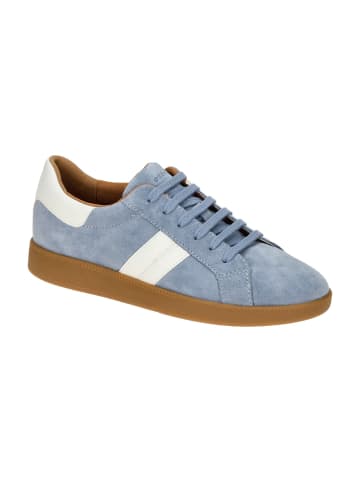 Geox Sneaker Low in Blau