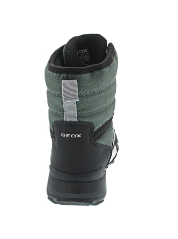 Geox Stiefel Grün