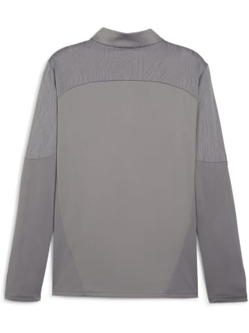 Puma T-Shirt "TeamFinal Training 1/4 Zip Top" in Grau