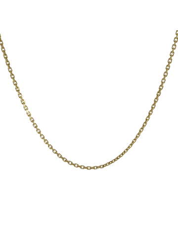 Luxxos Ankerkette "1,70 mm aus 333 Gelbgold" in Gold