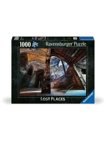 Ravensburger Puzzle 1.000 Teile Alpenhaus Graffito Beelitzer Heilstätten Ab 14 Jahre in bunt
