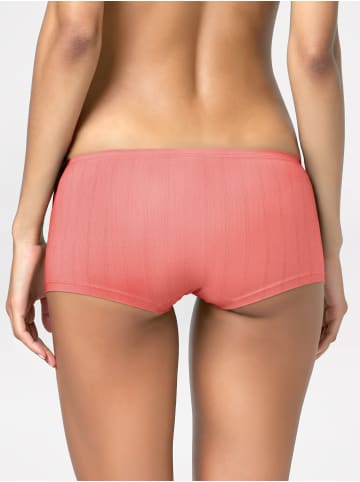 Calida Panty in rosy glow