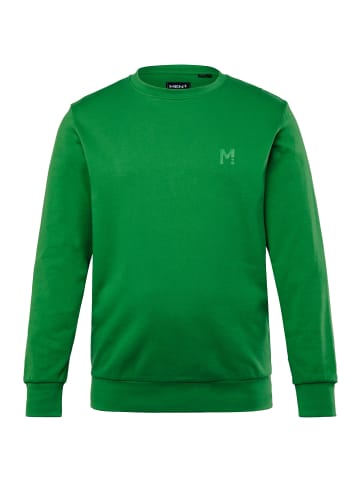 Men Plus Sweatshirt in hellgrün
