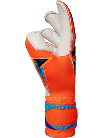 Reusch Torwarthandschuhe Attrakt Duo Evolution in 2290 shocking orange/blue
