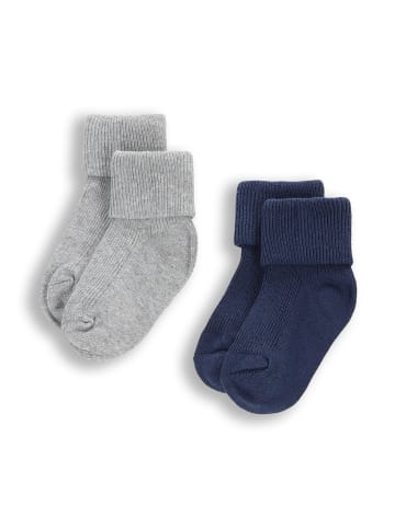 Coccodrillo Socken in bunt