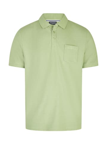 HECHTER PARIS Poloshirt in kiwi