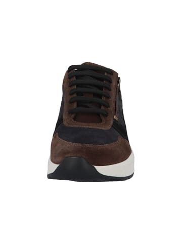 Solidus Schnürschuhe Ken - Weite K in Schwarz