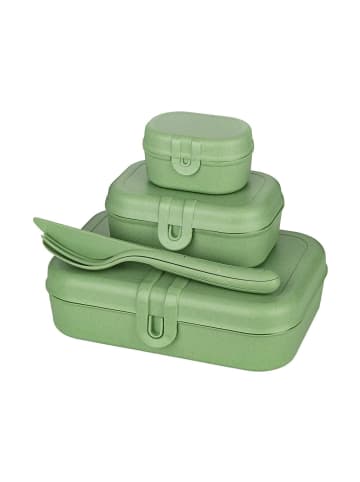 koziol Lunchbox-Set inkl. Besteck Pascal Ready in nature leaf green