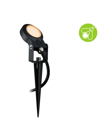 paulmann Outdoor Plug & Shine Spot Sting insect friendly