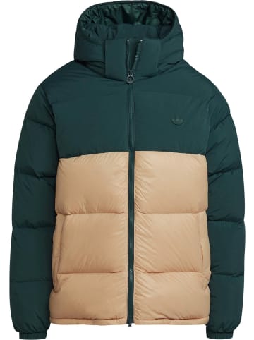 adidas adidas Winterjacken in mineral green/magic beige