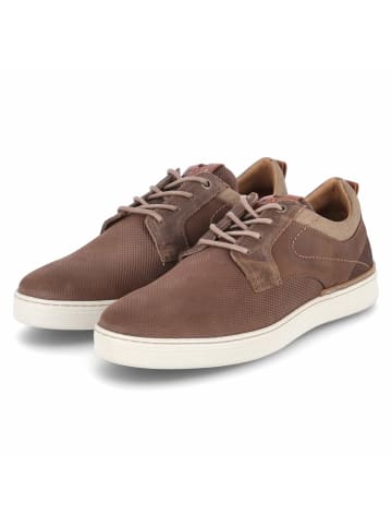 Bullboxer Low Sneaker in braun