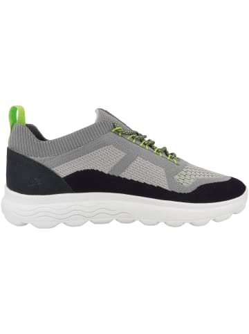 Geox Sneaker low U Spherica A in grau