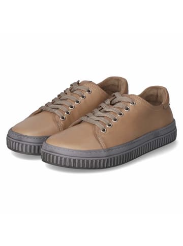 Andrea Conti Schnürhalbschuh in taupe