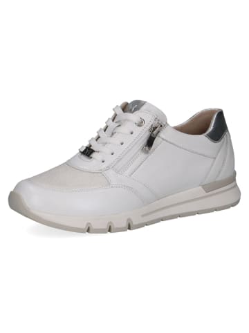 Caprice Schnürschuhe in white/silver