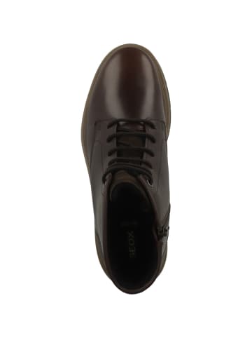 Geox Boots U Pove in dunkelbraun