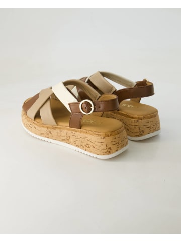 Gabor Comfort Sandalen in Beige