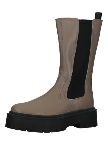 Steve Madden Stiefel in Beige/Schwarz