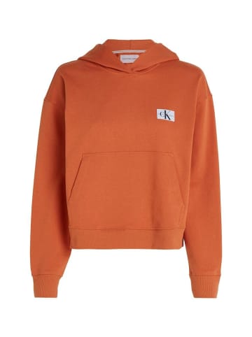 CALVIN KLEIN JEANS Sweatshirt in burnt clay