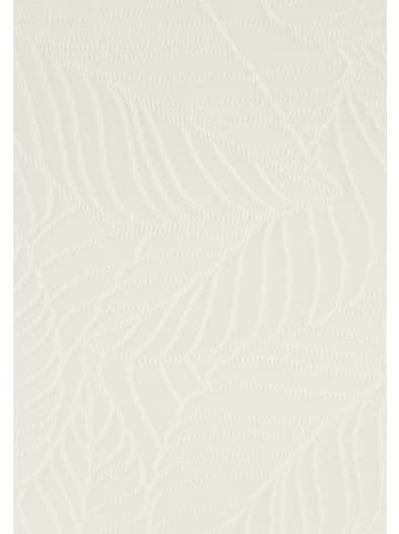 LASCANA Badeanzug in creme