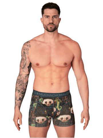 Muchachomalo 3er-Set: Boxershort in Mehrfarbig - für Herren