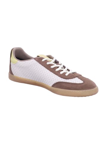 Tamaris Sneaker in BROWN COMB