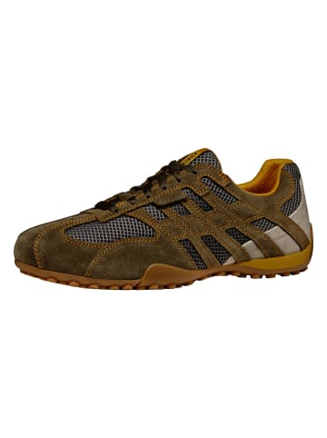 Geox Snake Original A in Khaki