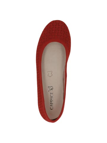 Caprice Ballerina in RED SUEDE