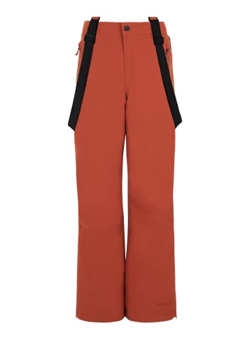 Protest " SUNNY JR in Uluru Rust