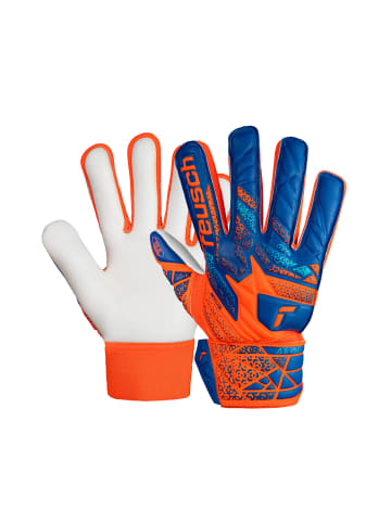 Reusch Torwarthandschuh Attrakt Starter Solid Junior in 2290 shocking orange/blue