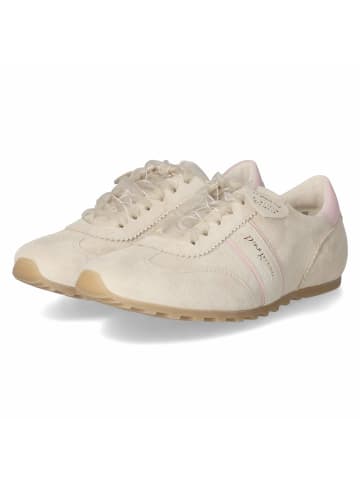Paul Green Low Sneaker in beige