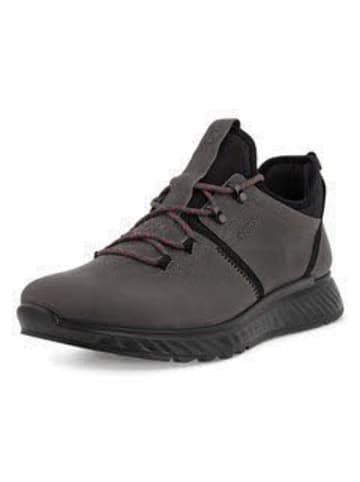 Ecco Outdoorschuh in grau