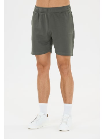 Virtus Shorts Minne in 3210 Pine