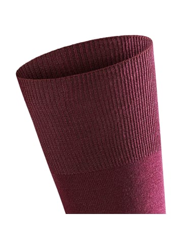 Falke Socken 2er Pack in Barolo (8596)