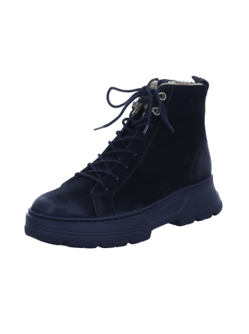 Paul Green Stiefeletten/Boot in schwarz
