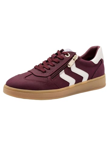 Marco Tozzi Sneaker in VINO COMB