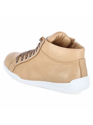 Andrea Conti Schnürstiefel in braun