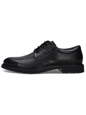 SALAMANDER Schnürschuh in schwarz