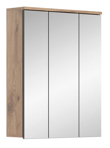 ebuy24 Spiegelschrank Mason Eiche 60 x 18 cm