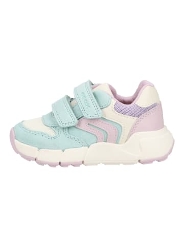 Geox Sneaker in Türkis