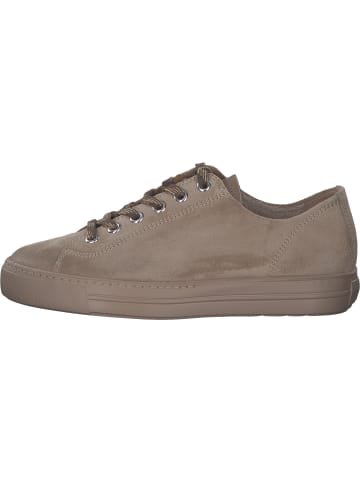 Paul Green Sneakers Low in Almond